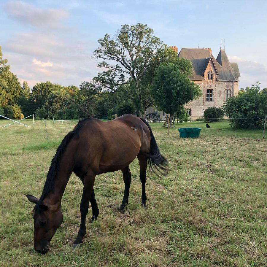 Manoir De La Chouanniere Βίλα Montreuil-sur-Maine Εξωτερικό φωτογραφία